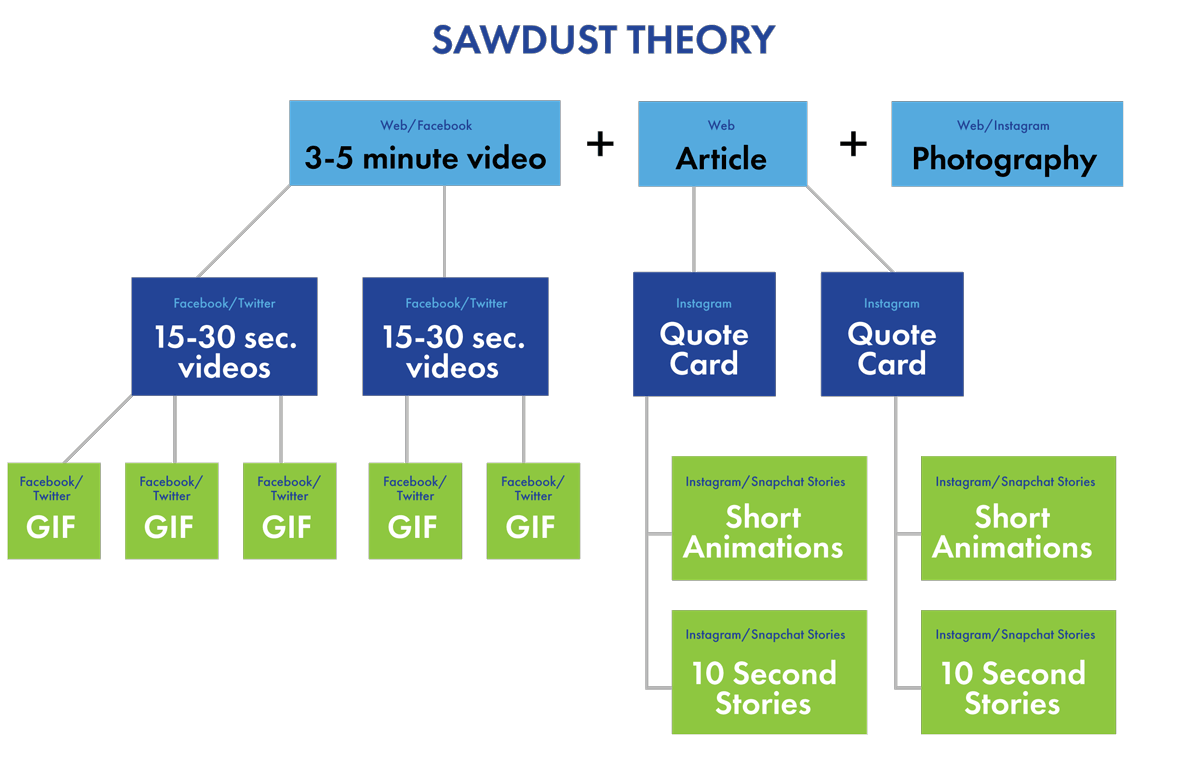 sawdust theory inforgraphic